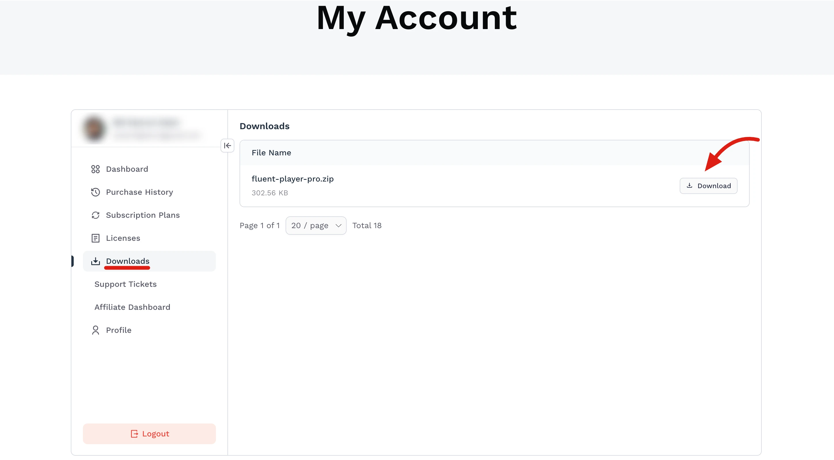 Downloading the FluentPlayer Pro zip file from the account Downloads page